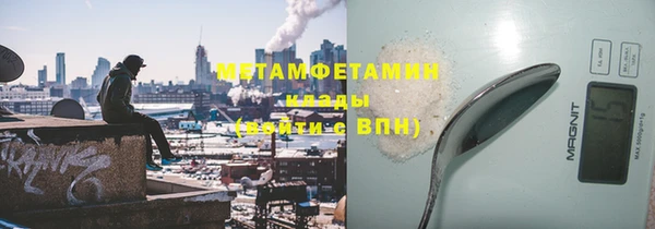 прущие грибы Ладушкин