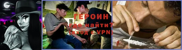 прущие грибы Ладушкин