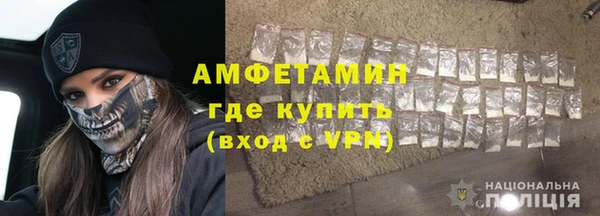 прущие грибы Ладушкин