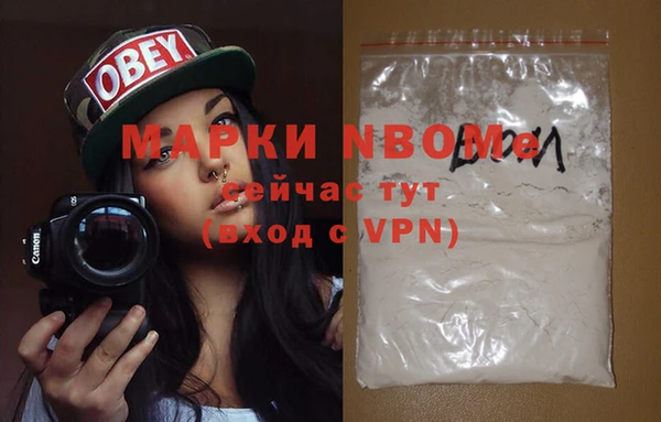 прущие грибы Ладушкин